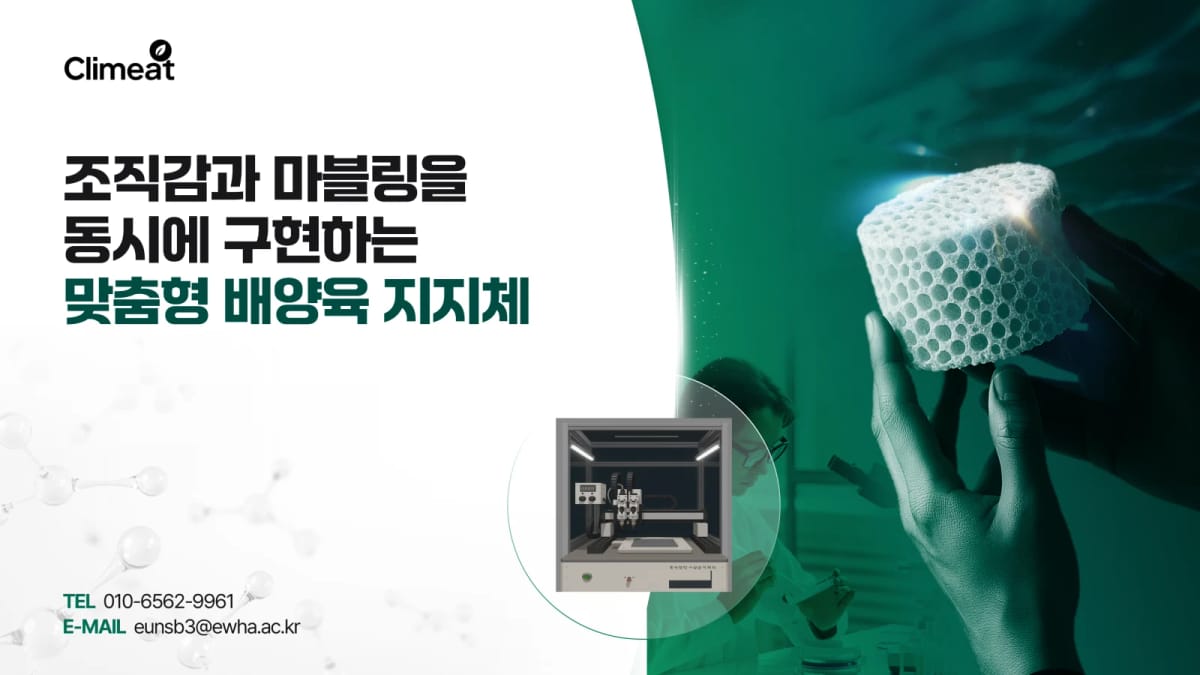 Climeat 맞춤형 배양육 지지체 IR 피치덱 표지